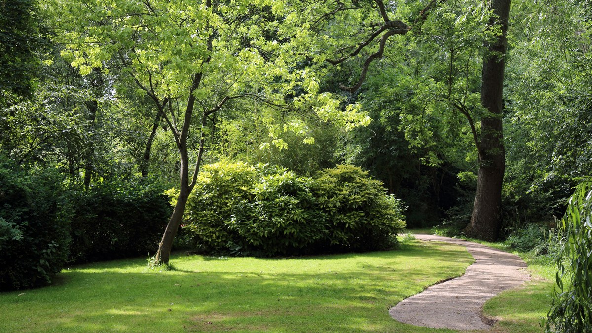 Gazon anglais dense et bien tondu dans un jardin soigné avec massifs décoratifs